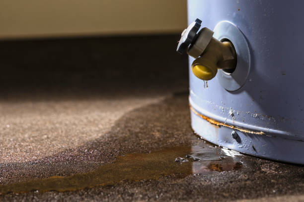 Best Emergency water damage restoration  in Rapid City, MI