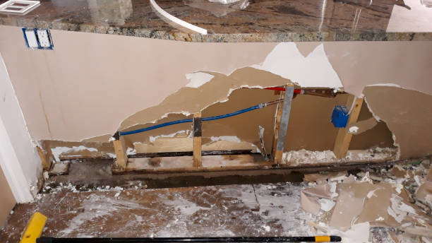 Best Mold removal after water damage  in Rapid City, MI