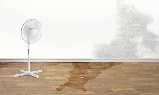 Best Flood restoration services  in Rapid City, MI