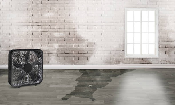  Rapid City, MI Water damage restoration Pros