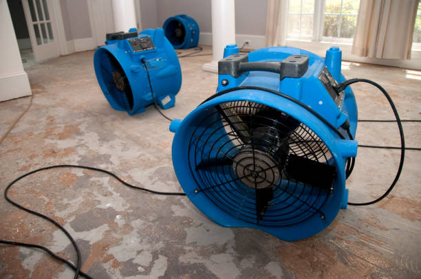 Best Professional water damage repair  in Rapid City, MI