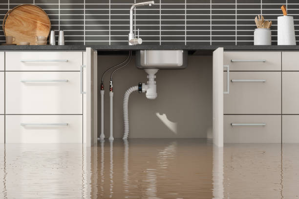Best Emergency water damage restoration  in Rapid City, MI