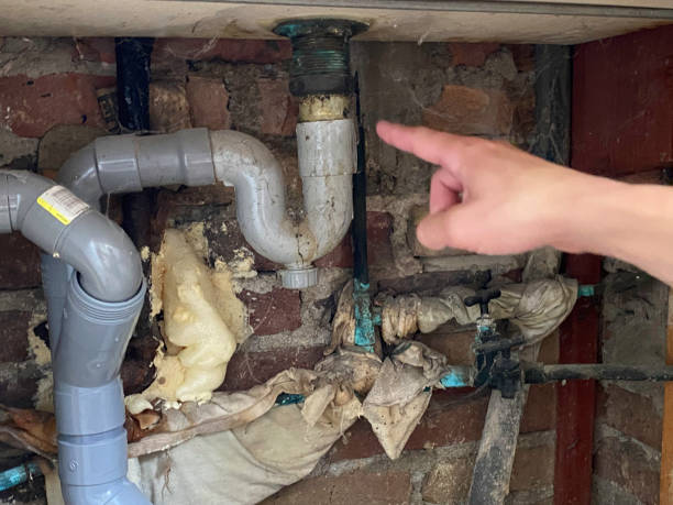 Best Ceiling water damage repair  in Rapid City, MI
