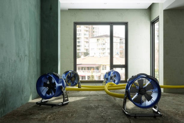 Best Commercial water damage restoration  in Rapid City, MI